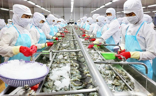 Tuyển gấp 60 Nữ đơn hàng chế biến thủy sản tại Chiba